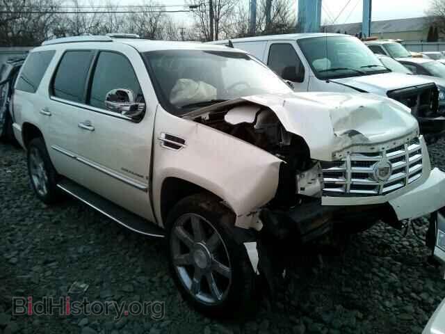 Photo 1GYFK13229R257252 - CADILLAC ESCALADE 2009