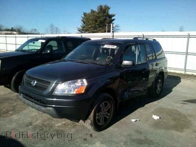 2005 HONDA PILOT - VIN: 5FNYF18445B044235 - Photo 2