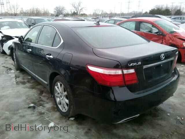 2009 LEXUS LS460 - VIN: JTHCL46F995003713 - Фото 3