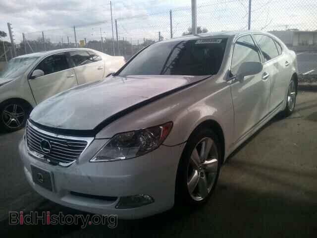 2008 LEXUS LS460 - VIN: JTHGL46F285032339 - Фото 2