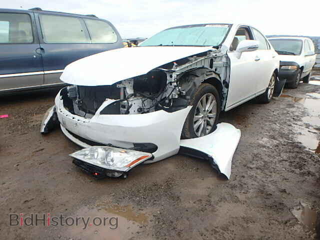 2011 LEXUS ES350 - VIN: JTHBK1EG1B2434321 - Фото 2
