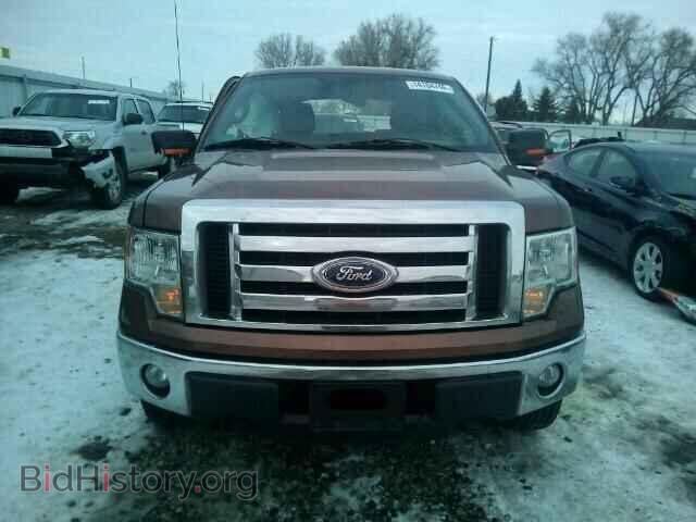 2011 FORD F150 - VIN: 1FTEX1EM2BFC30397 - Фото 10