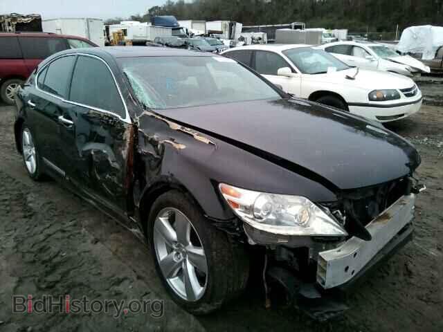 Photo JTHBL5EFXA5099259 - LEXUS LS460 2010