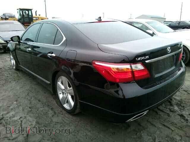 2010 LEXUS LS460 - VIN: JTHBL5EFXA5099259 - Фото 3