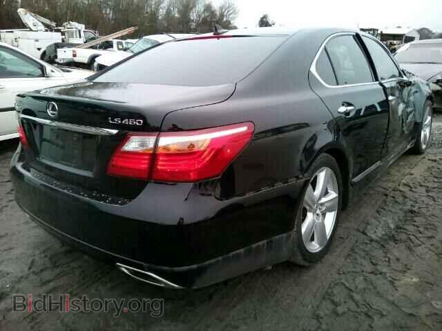2010 LEXUS LS460 - VIN: JTHBL5EFXA5099259 - Фото 4
