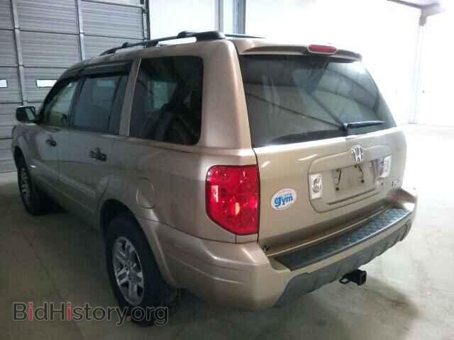 2005 HONDA PILOT - VIN: 5FNYF18575B019337 - Фото 3