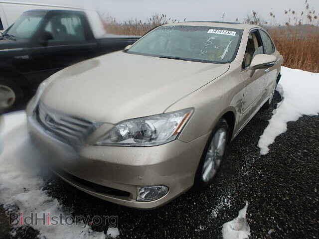 2011 LEXUS ES350 - VIN: JTHBK1EG3B2445434 - Фото 2