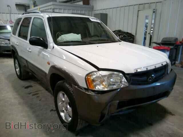 Photo 4F2CU08152KM10038 - MAZDA TRIBUTE 2002