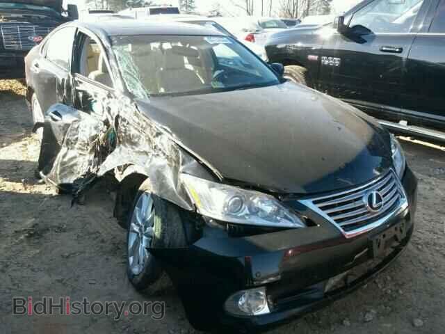 Фотография JTHBK1EG5A2352364 - LEXUS ES350 2010