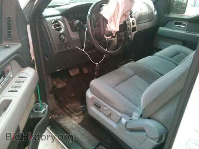 2011 FORD F150 - VIN: 1FTFW1EF1BFC14491 - Фото 10
