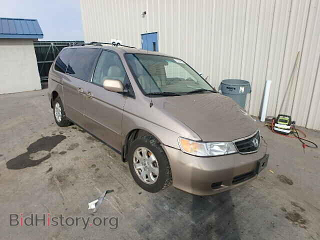 Фотография 5FNRL18043B003675 - HONDA ODYSSEY 2003