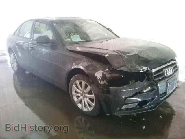 Фотография WAUBFAFL3DN032798 - AUDI A4 2013