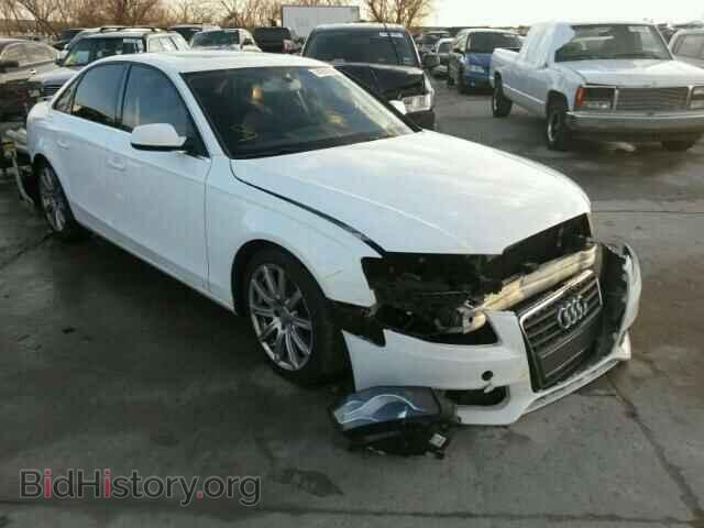 Фотография WAUEFAFL0AN040138 - AUDI A4 2010