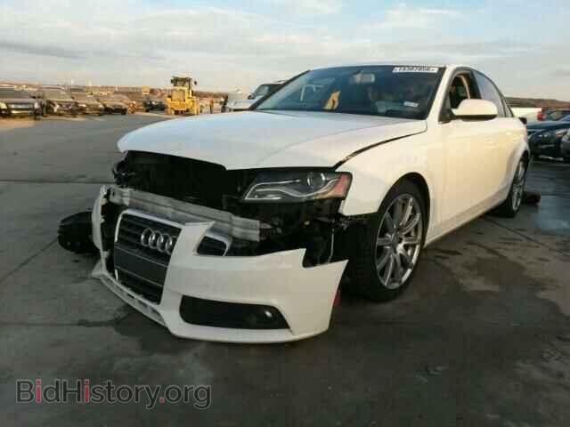 2010 AUDI A4 - VIN: WAUEFAFL0AN040138 - Фото 2