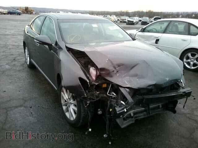Фотография JTHBK1EG5A2359282 - LEXUS ES350 2010