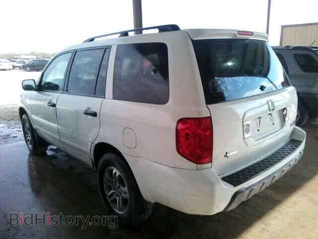 2005 HONDA PILOT - VIN: 5FNYF18565B012430 - Фото 3
