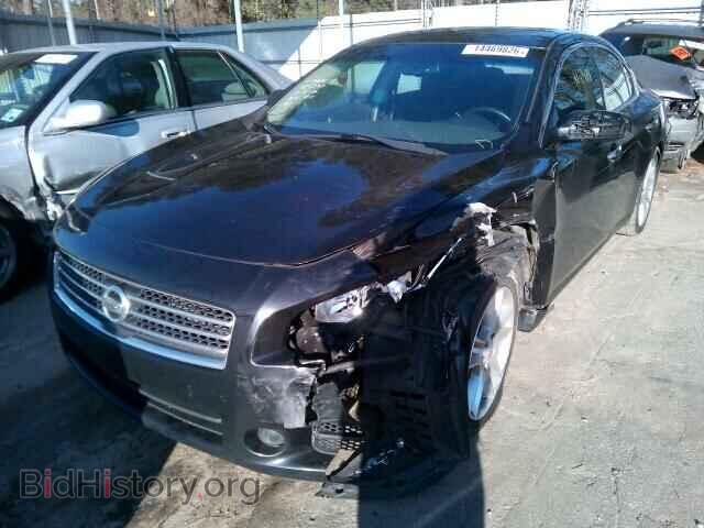 2010 NISSAN MAXIMA - VIN: 1N4AA5AP6AC843474 - Фото 2