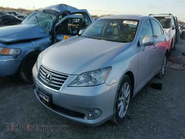 2010 LEXUS ES350 - VIN: JTHBK1EG3A2385511 - Фото 2