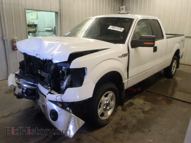 2013 FORD F150 - VIN: 1FTFX1EF1DFE04002 - Фото 2