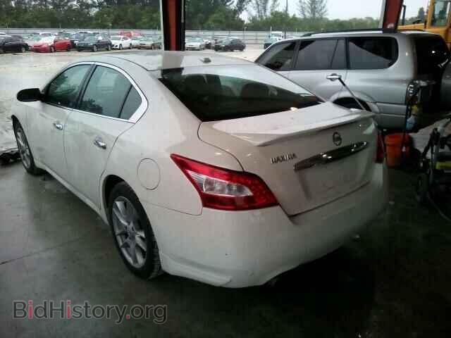 2010 NISSAN MAXIMA - VIN: 1N4AA5AP4AC866400 - Фото 3