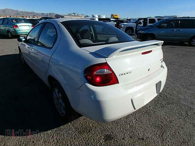 2005 DODGE NEON - VIN: 1B3ES56C65D162960 - Фото 3
