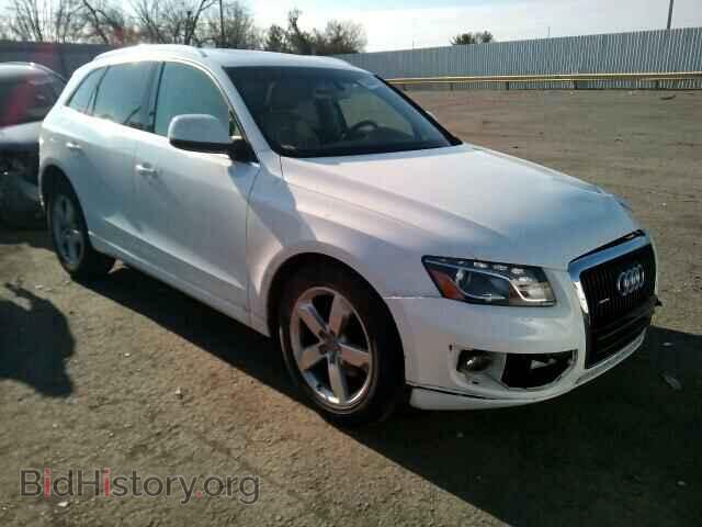 Фотография WA1LKAFP0AA110537 - AUDI Q5 2010