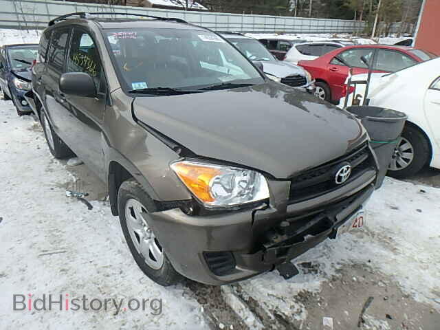 Фотография 2T3BF4DV6CW181707 - TOYOTA RAV4 2012