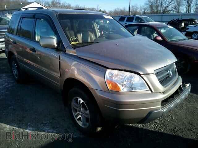 Фотография 5FNYF18565B007714 - HONDA PILOT 2005