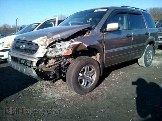 2005 HONDA PILOT - VIN: 5FNYF18565B007714 - Фото 2