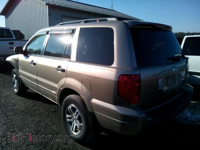 2005 HONDA PILOT - VIN: 5FNYF18565B007714 - Фото 3