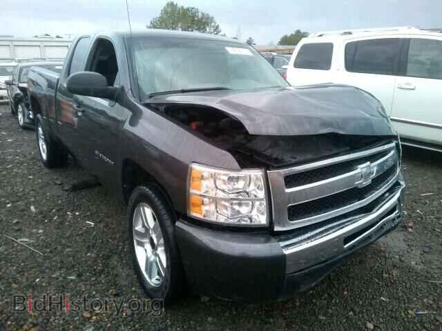 Photo 1GCSCPEX6AZ177423 - CHEVROLET SILVERADO 2010