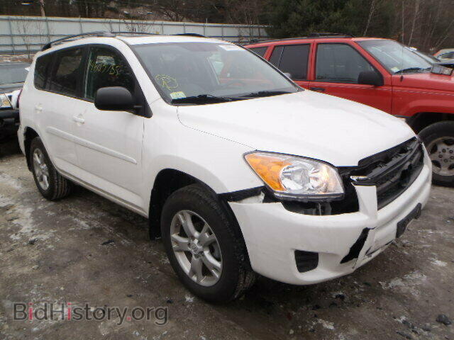 Фотография 2T3BF4DV6BW090046 - TOYOTA RAV4 2011