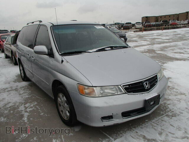 Фотография 5FNRL18723B101262 - HONDA ODYSSEY 2003