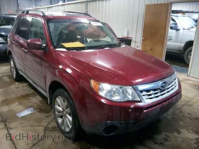 Photo JF2SHBDC4BH741775 - SUBARU FORESTER 2011
