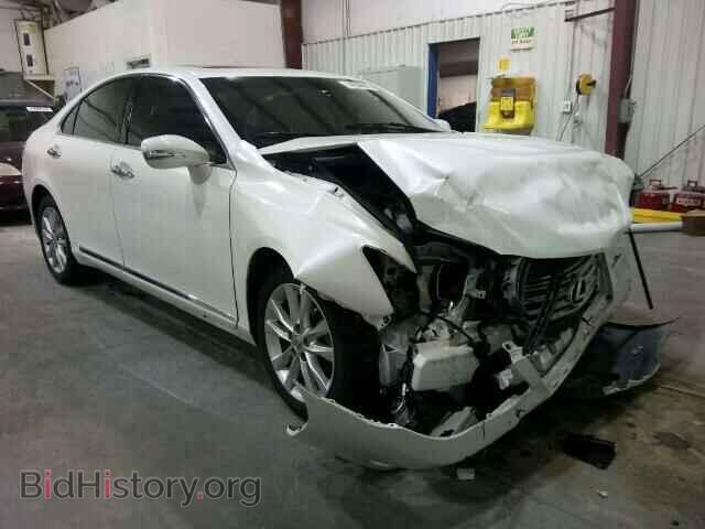 Фотография JTHBK1EG1B2442449 - LEXUS ES350 2011