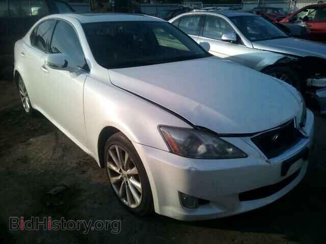 Фотография JTHCK262392030427 - LEXUS IS250 2009