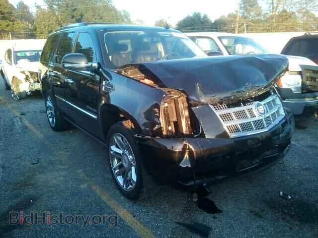 Photo 1GYUKDEF5AR235131 - CADILLAC ESCALADE 2010