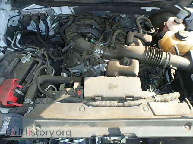 2013 FORD F150 - VIN: 1FTMF1CM1DKE20638 - Фото 7