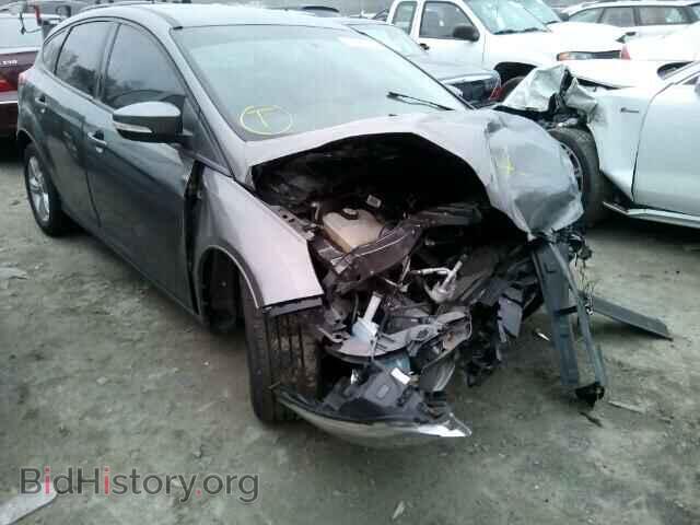 Photo 1FADP3K23DL104585 - FORD FOCUS 2013