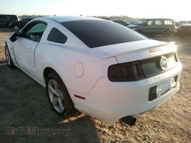 2014 FORD MUSTANG - VIN: 1ZVBP8CF4E5313465 - Фото 3