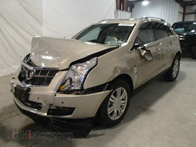 2012 CADILLAC SRX - VIN: 3GYFNAE3XCS537860 - Фото 2