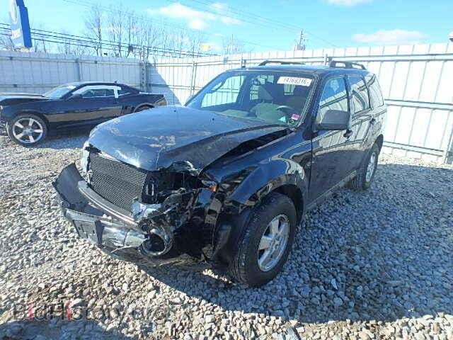 2009 FORD ESCAPE - VIN: 1FMCU03719KB26231 - Фото 2