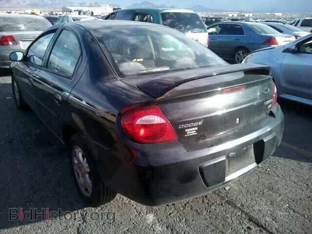 2005 DODGE NEON - VIN: 1B3ES56C75D251713 - Фото 3