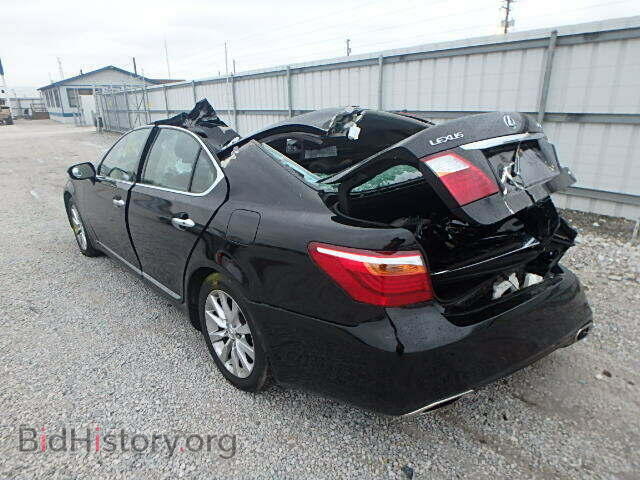 2010 LEXUS LS460 - VIN: JTHCL5EF4A5005137 - Фото 3