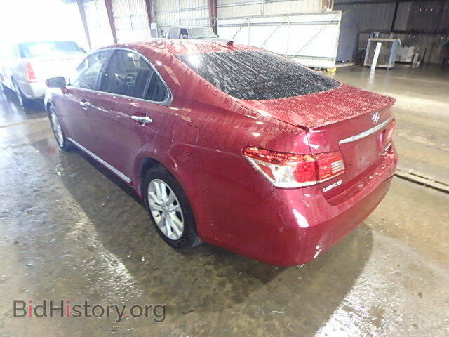 2010 LEXUS ES350 - VIN: JTHBK1EG8A2345392 - Фото 3