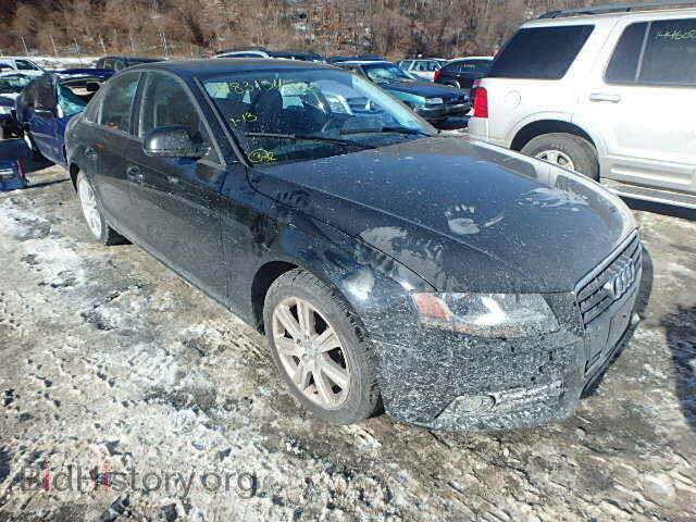 Фотография WAULF78K19N052356 - AUDI A4 2009