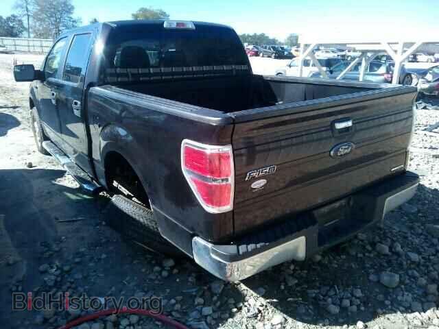 2013 FORD F150 - VIN: 1FTEW1CM4DFB14725 - Фото 3