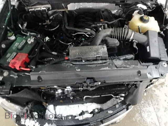 2013 FORD F150 - VIN: 1FTFX1EF2DFA78419 - Фото 7