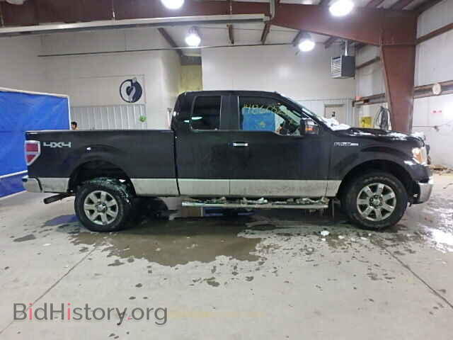 2013 FORD F150 - VIN: 1FTFX1EF2DFA78419 - Фото 10