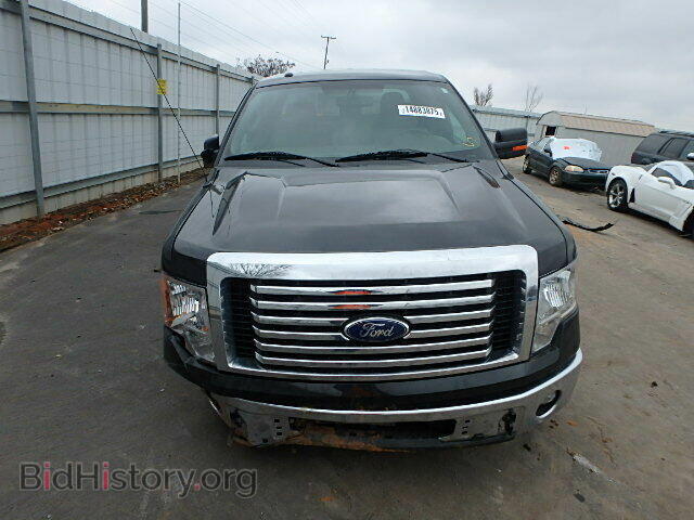 2011 FORD F150 - VIN: 1FTFX1CF2BFA24036 - Фото 9
